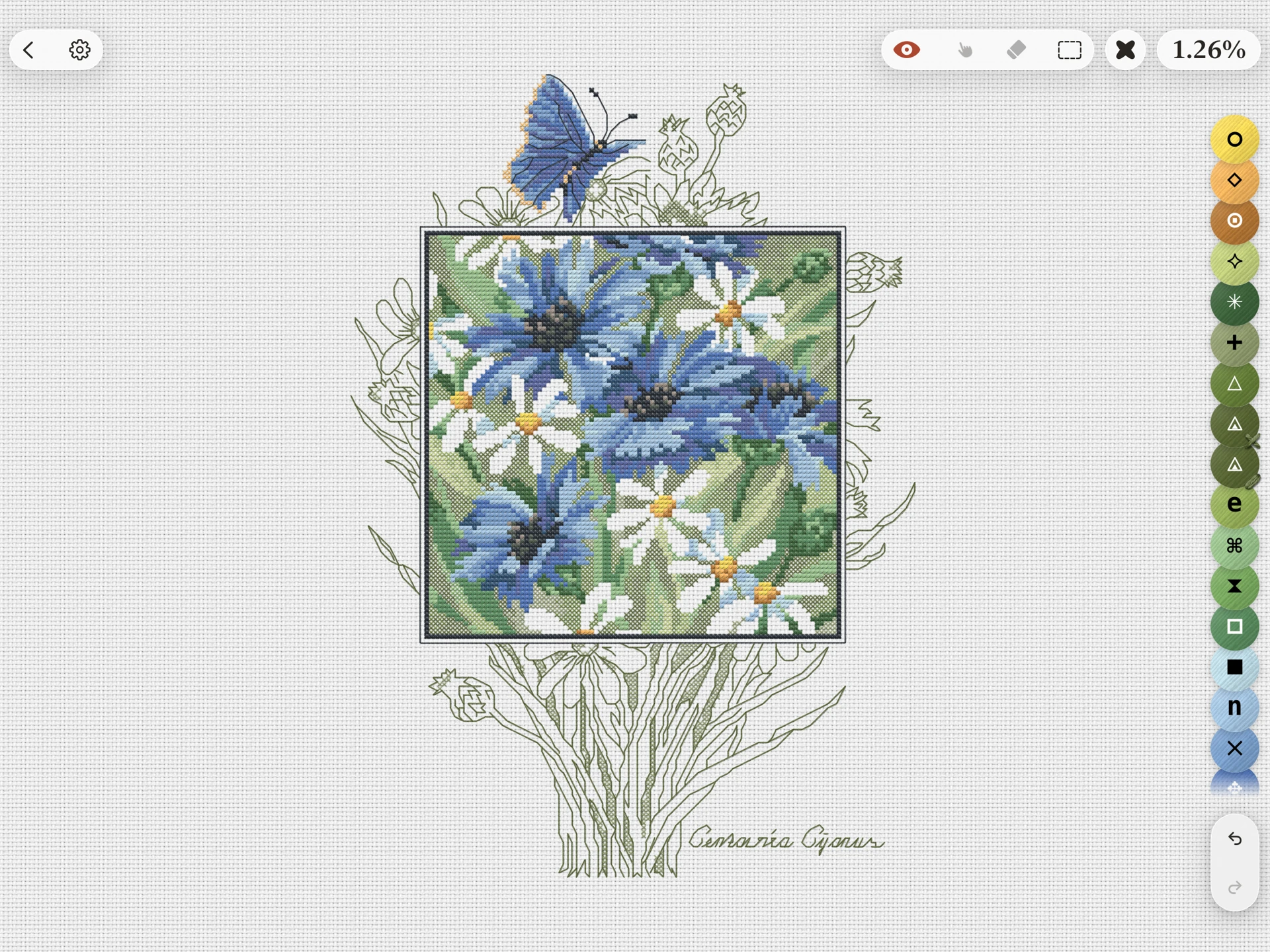 Cornflower chart in Crosstela